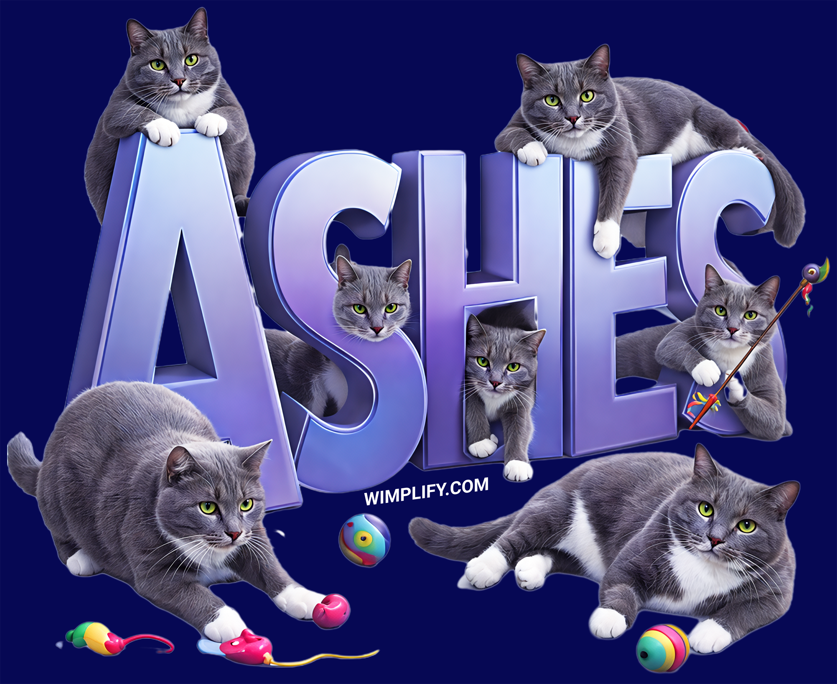 ASHES Cat Lover Graphic T-Shirt – Playful Pet Lover Design (Customer